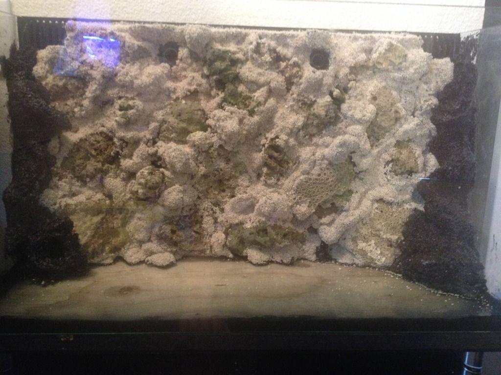 Diy foam rock back wall. REEF2REEF Saltwater and Reef Aquarium Forum